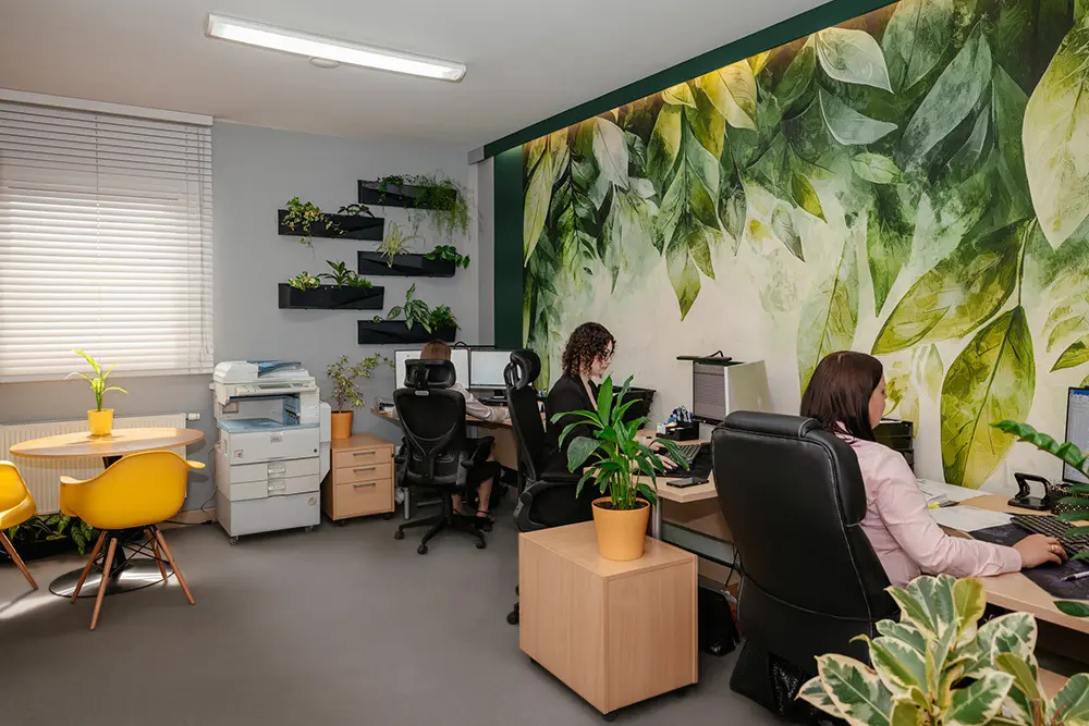 Księgowość Rzeszów o nas